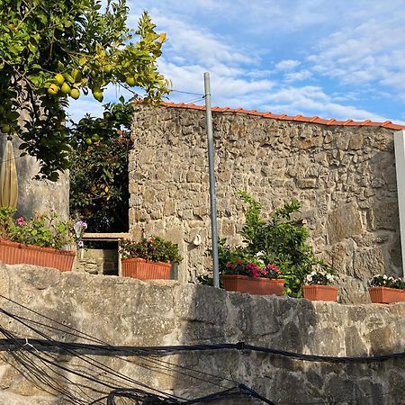 Casa Dona Olga River View Apartment Porto Exterior photo