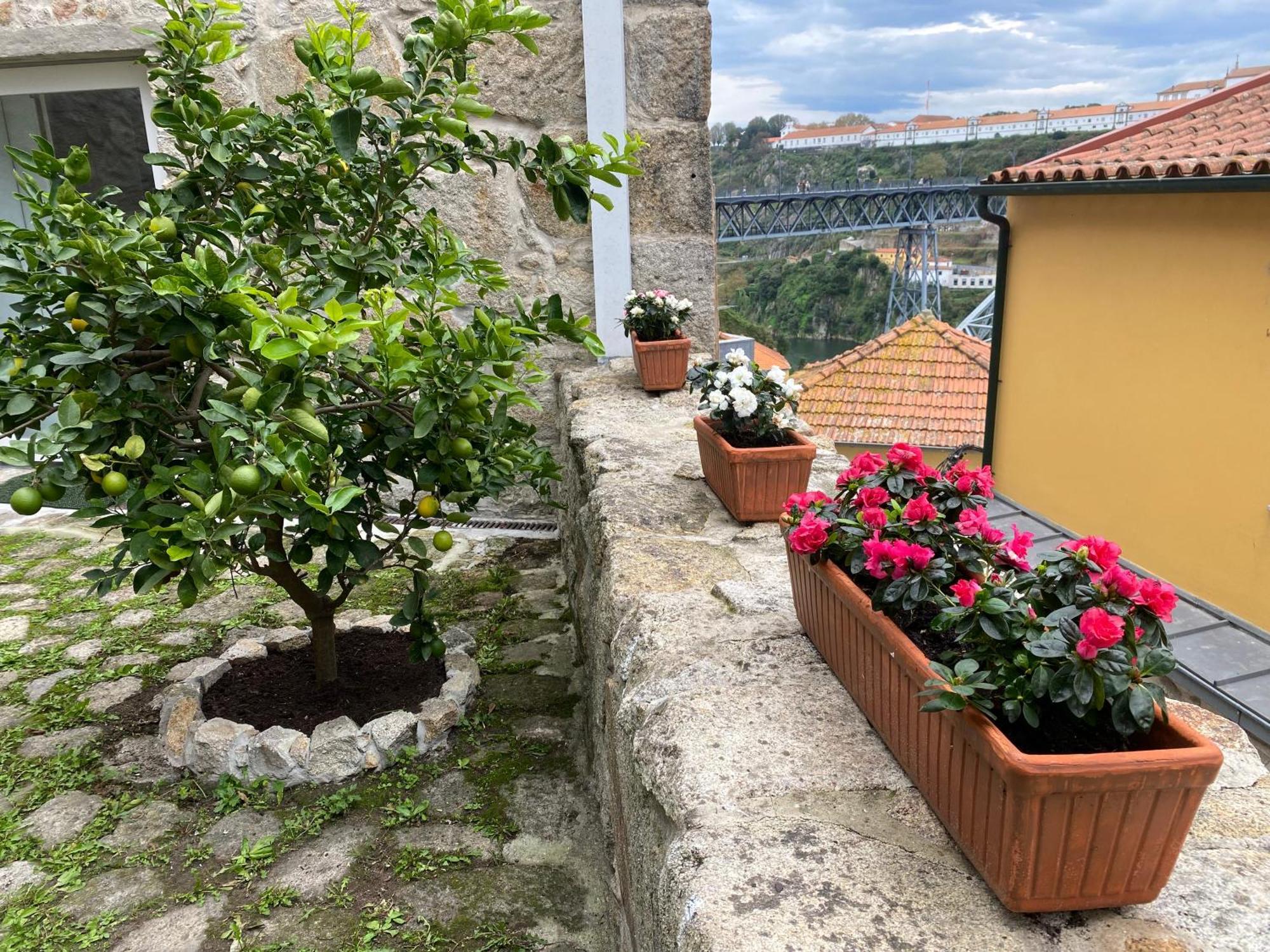 Casa Dona Olga River View Porto Exterior photo